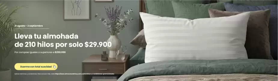 Catálogo Brissa Página 3