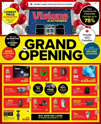 Visions Electronics (valid until 4-09)