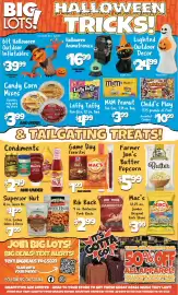 Big Lots weekly ad week 36 Page 2