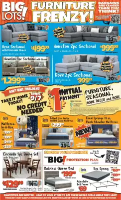Big Lots (valid until 9-09)