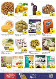 Nesto catalogue Page 17