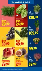 Lidl leták Strana 15: Tmavé hrozny stolní €39,90, Kopr €29,90