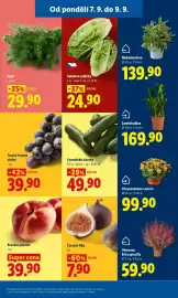 Lidl leták Strana 15: Tmavé hrozny stolní €39,90, Kopr €29,90