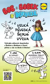 Lidl leták Strana 48