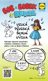 Lidl leták Strana 48