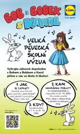 Lidl leták Strana 52