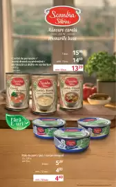 Catalog Selgros Pagină 14