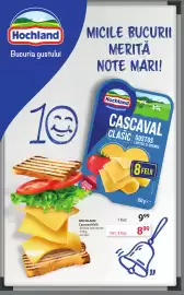 Catalog Selgros Pagină 8: HOCHLAND Caşcaval felii €8,99
