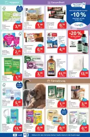 Budni Prospekt woche 38 Seite 5