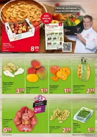 Selgros Prospekt woche 37 Seite 3