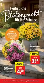 Thomas Philipps Prospekt woche 37 Seite 3