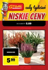 Gram Market gazetka tydzień 36 Strona 1: Wrzos mix €5,99