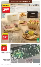 Biedronka gazetka Strona 15: Chlebak €39,99, Mata uniwersalna €9,99