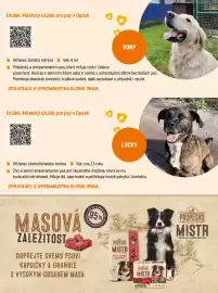 Globus leták Strana 9