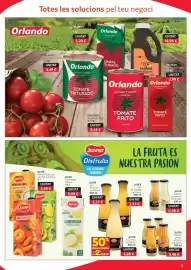 Folleto GM Cash & Carry Página 5: JUVER Nèctar poma, taronja o prèssec €0,46, Juver nectar de pinya, taronja o prèsec €2,59