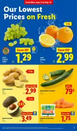 Lidl weekly ad week 37 Page 7: Long English cucumber €0,79, Yellow potatoes €2,99