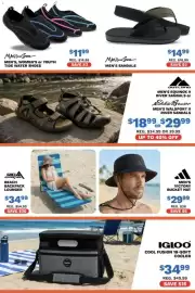 Big 5 weekly ad Page 3