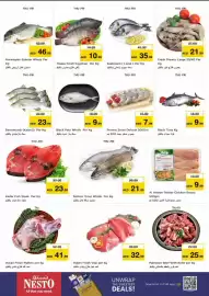 Nesto catalogue Page 18