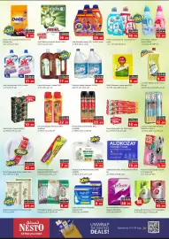 Nesto catalogue Page 11