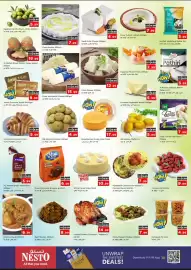 Nesto catalogue Page 20