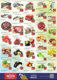 Nesto catalogue Page 3