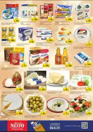 Nesto catalogue Page 12