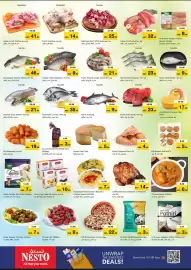 Nesto catalogue Page 13