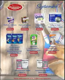 Catálogo Supermercados Romanini Página 4: Quitamanchas liquido €2,95, Quitamanchas polvo €2.950,00