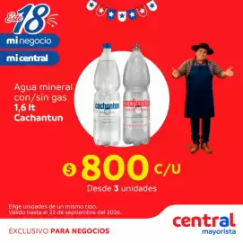 Catálogo Central Mayorista Página 14: Cachantun - agua mineral con/sin gas €800,00