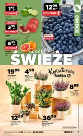 Netto gazetka tydzień 37 Strona 7: Skimmia Japonica Rubella* €36,99, Limonka €1,49