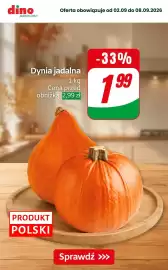 Dino gazetka Strona 2: Dynia jadalna €1,99