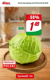 Dino gazetka Strona 3: Kapusta biała €1,49