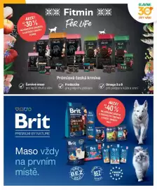Globus leták Strana 5