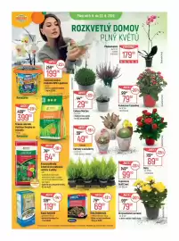 Globus leták týden 37 Strana 11: Krásná zahrada substrát pro pokojové rostliny a palmy €64,90, Kaput herbicid €119,90