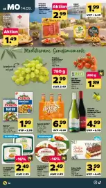 Netto Prospekt woche 38 Seite 16