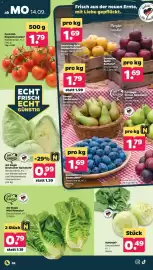 Netto Prospekt woche 38 Seite 2