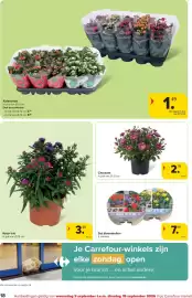 Carrefour Market folder week 37 Pagina 18