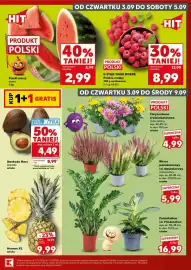 Kaufland gazetka Strona 9