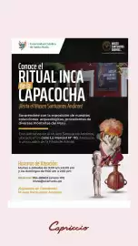Catálogo Capriccio Página 53