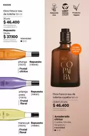 Catálogo Natura Página 100
