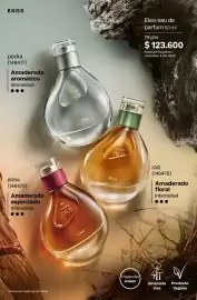 Catálogo Natura Página 101