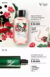 Catálogo Natura Página 106
