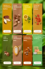 Catálogo Natura Página 204
