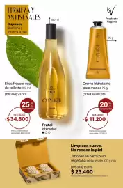Catálogo Natura Página 207