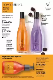 Catálogo Natura Página 219