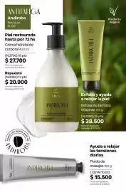 Catálogo Natura Página 220
