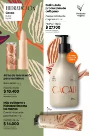 Catálogo Natura Página 221