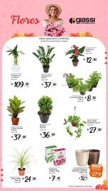 Encarte Giassi Supermercados semana 36 Página 2