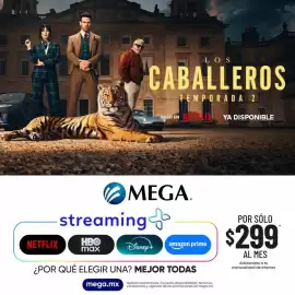 Catálogo Megacable Página 2