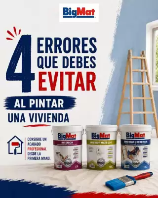 BigMat (válido hasta el 10-09)
